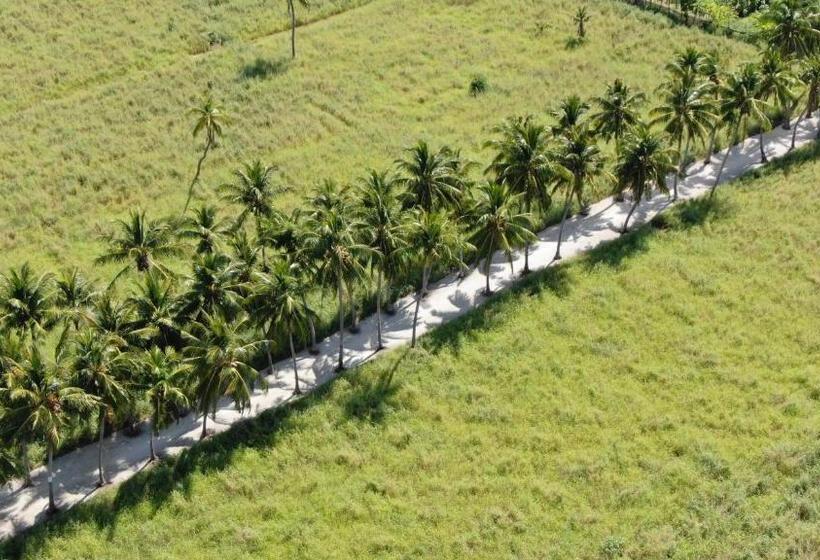 هتل Thoddoo Island Life