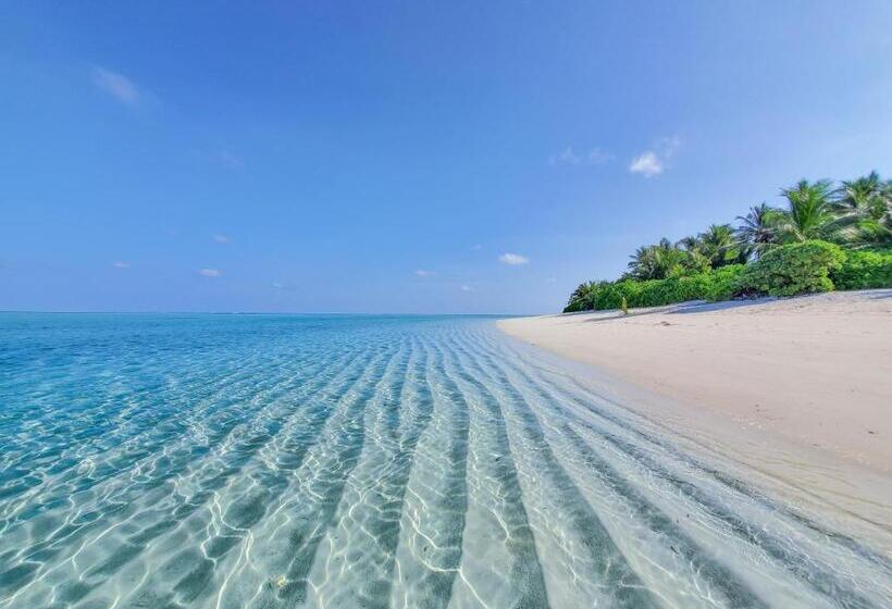 هتل Thoddoo Island Life