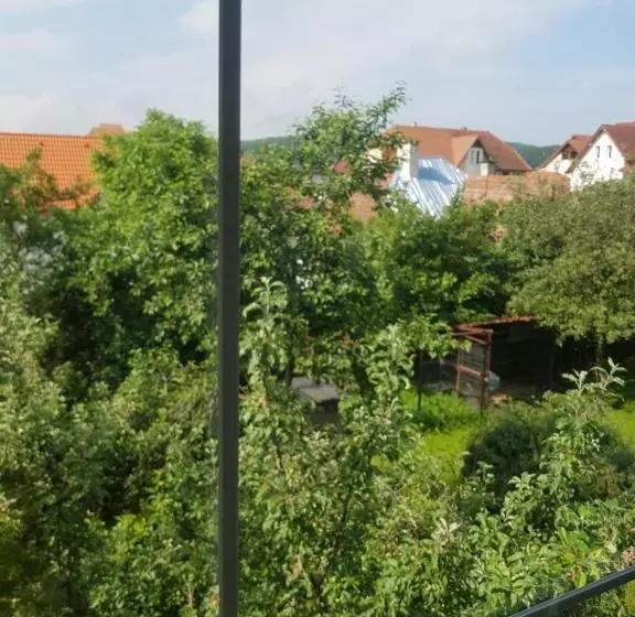 Pensiune Lara Guest House