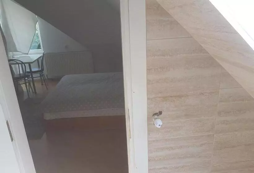 Pensiune Lara Guest House