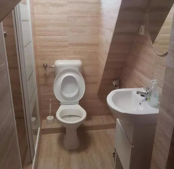 Pensiune Lara Guest House