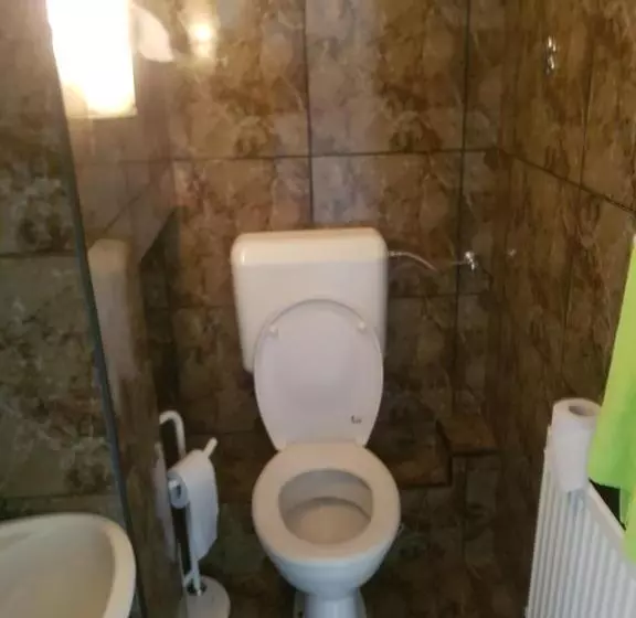 Pensiune Lara Guest House