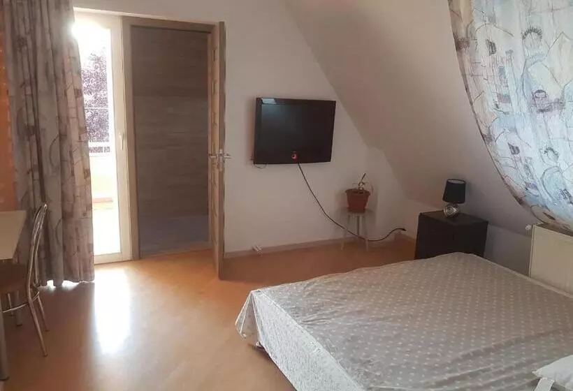 Pensiune Lara Guest House