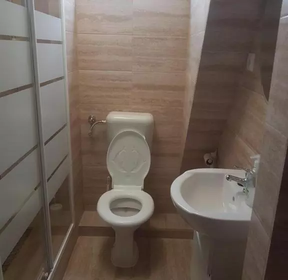 Pensiune Lara Guest House