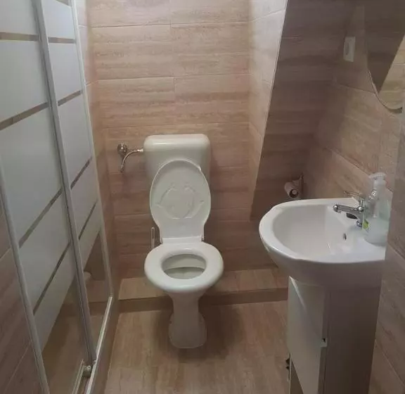 Pensiune Lara Guest House