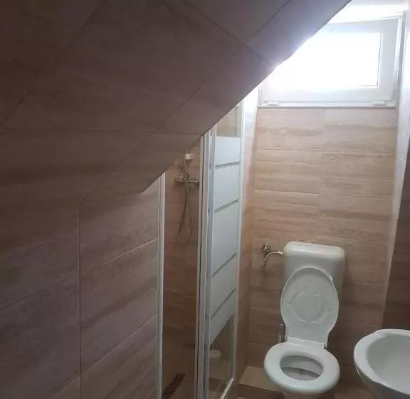 Pensiune Lara Guest House