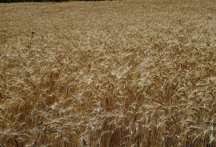 펜션 Maison D Hôtes Les Méans