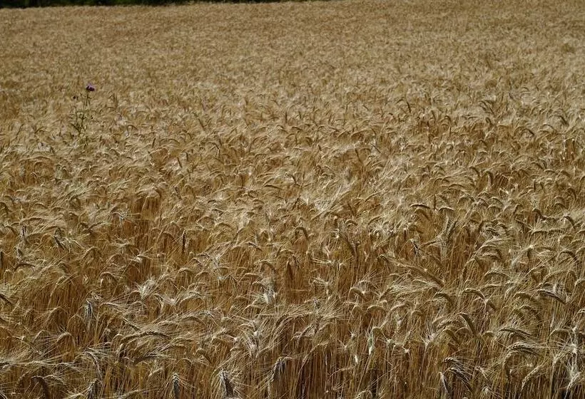 ペンション Maison D Hôtes Les Méans