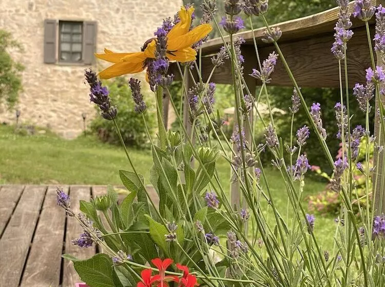 ペンション Maison D Hôtes Les Méans