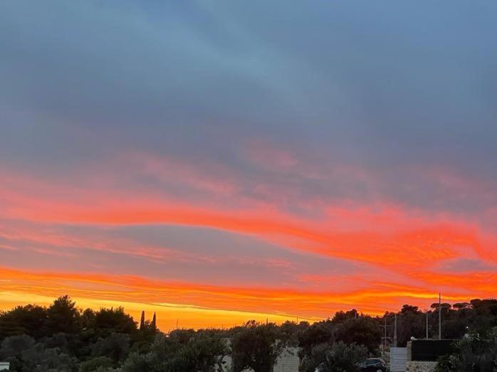 膳宿费 Villa Stella