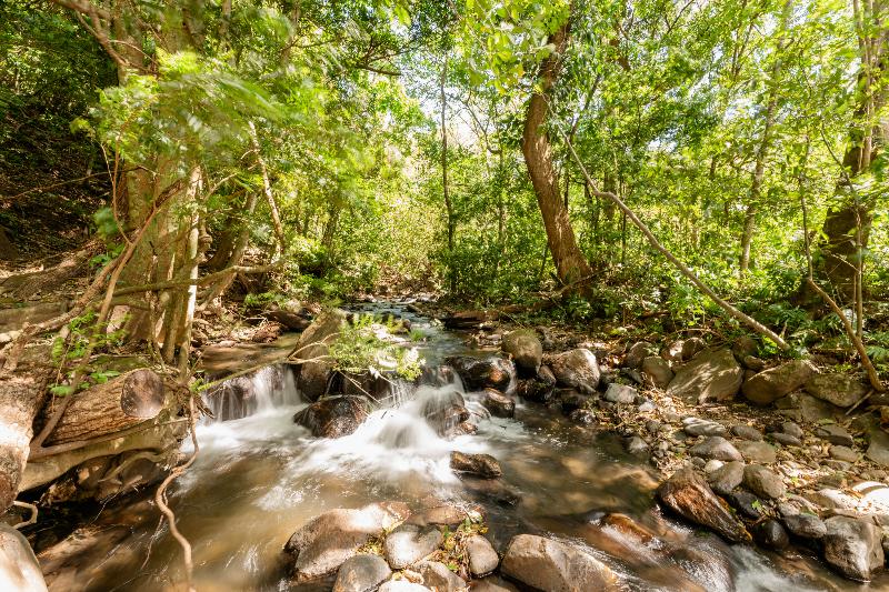 فندق Borinquen Thermal Resort