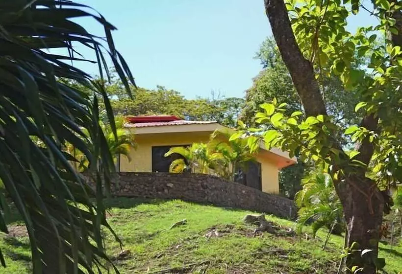 ホテル Condor Lodge