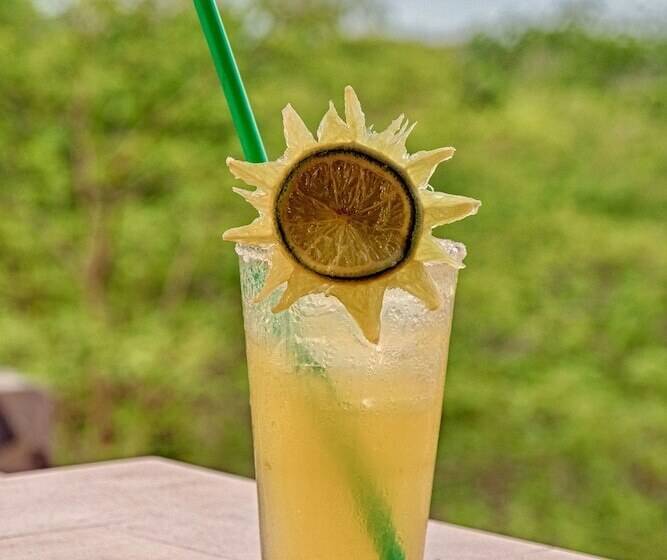 Отель Condor Lodge