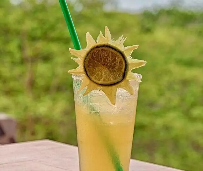 ホテル Condor Lodge