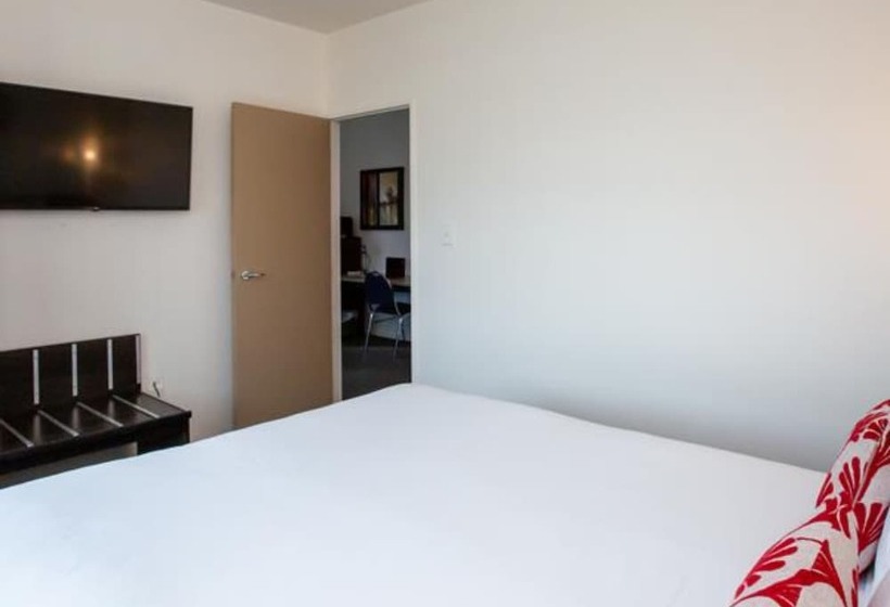 فندق Distinction New Plymouth