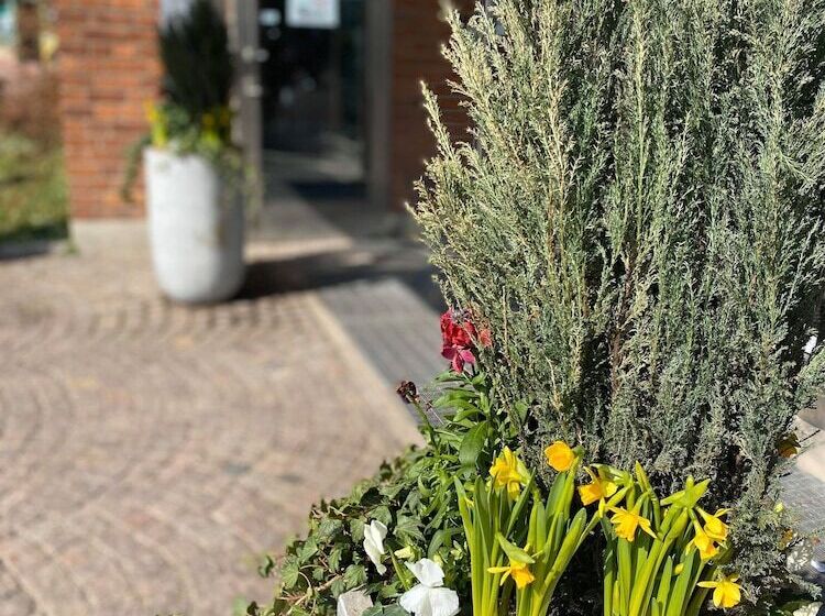 هتل L Alfred Nobel