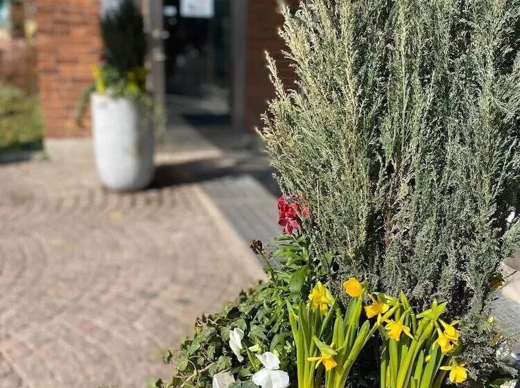 هتل L Alfred Nobel