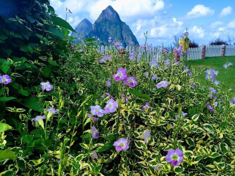 هتل La Haut Resort