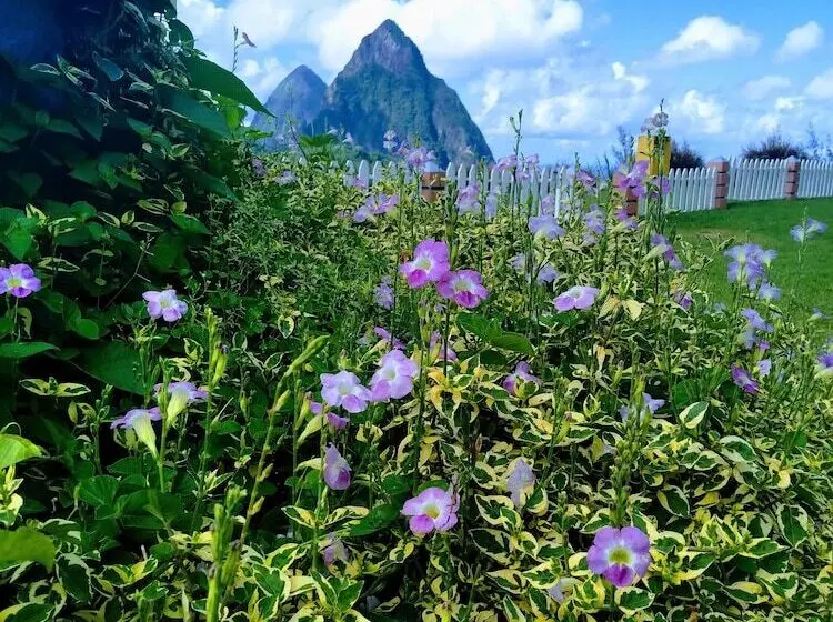 هتل La Haut Resort