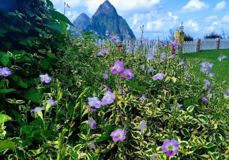 هتل La Haut Resort