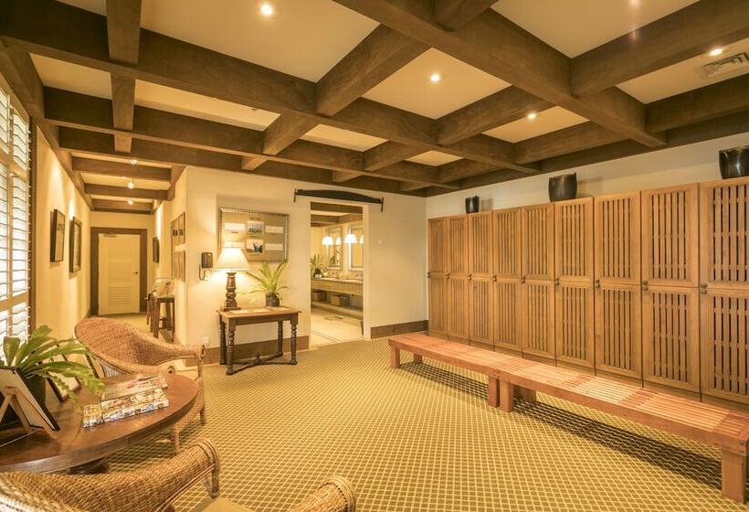 فندق Rosewood Kauri Cliffs