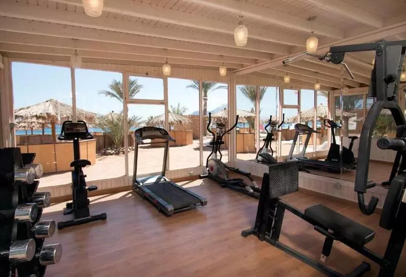 ホテル Swiss Inn Resort Dahab
