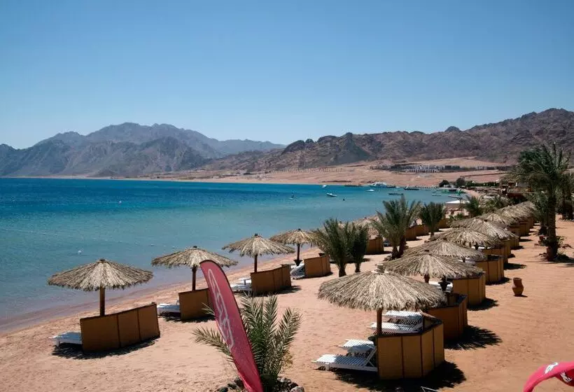 ホテル Swiss Inn Resort Dahab
