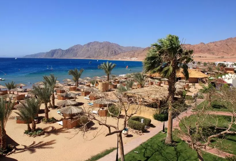 ホテル Swiss Inn Resort Dahab