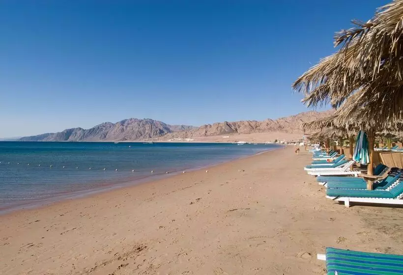 ホテル Swiss Inn Resort Dahab