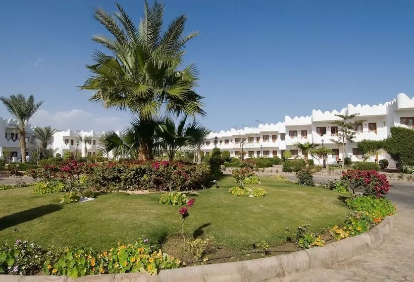 ホテル Swiss Inn Resort Dahab