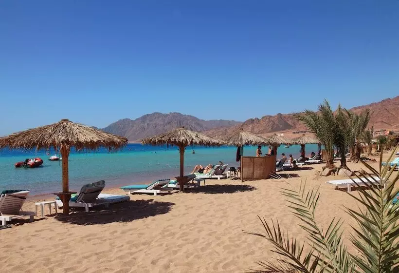 ホテル Swiss Inn Resort Dahab