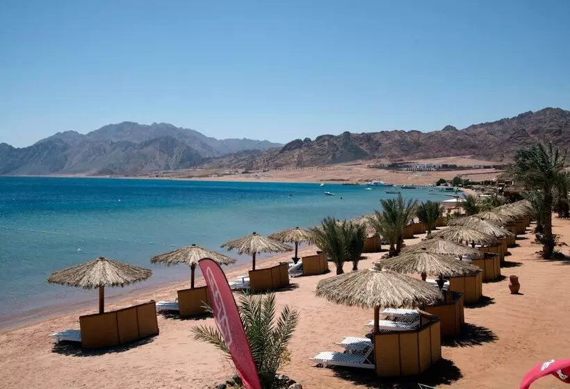 ホテル Swiss Inn Resort Dahab