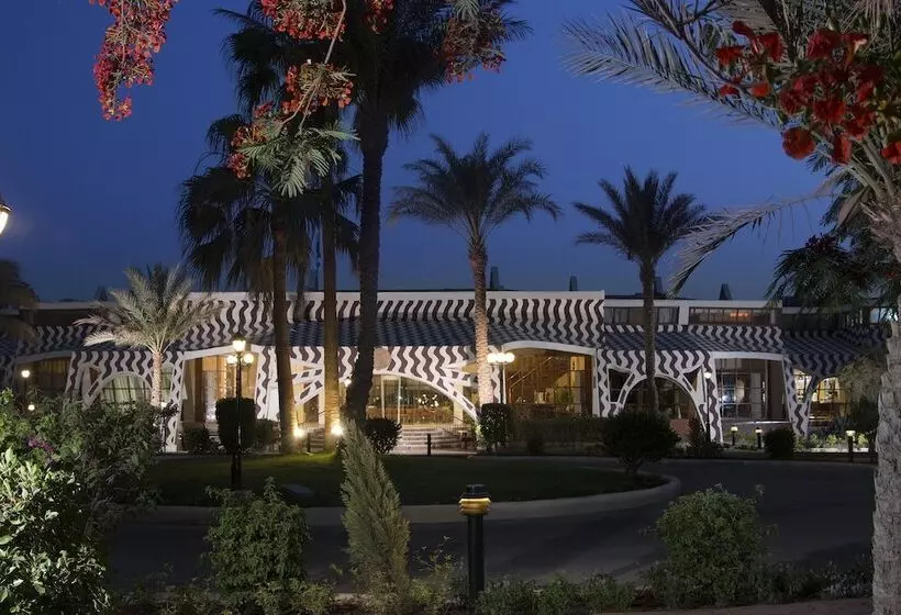 ホテル Swiss Inn Resort Dahab