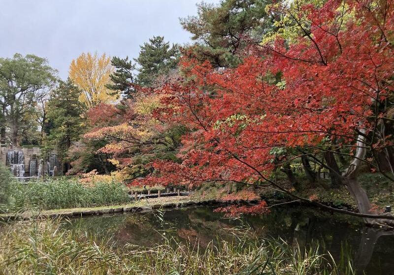 Hotel Tokyo Marriott