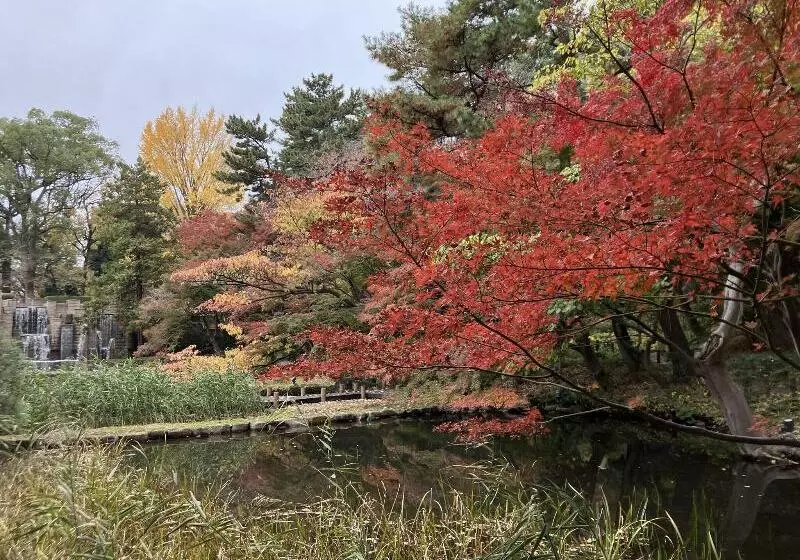 فندق Tokyo Marriott