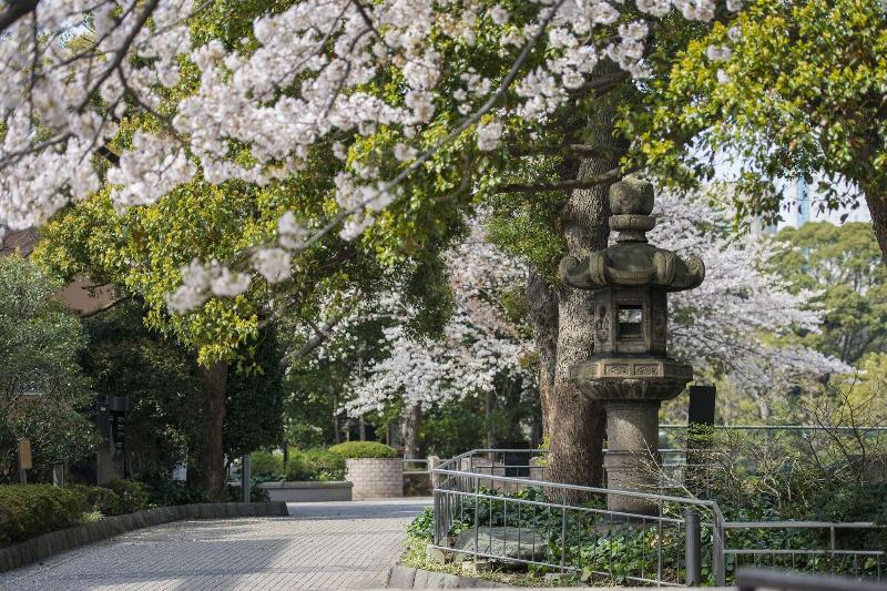 Hotel Tokyo Marriott