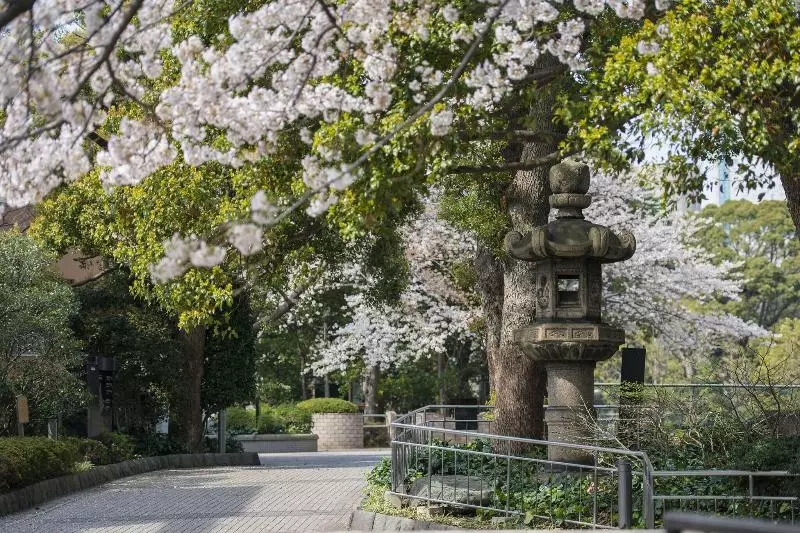 فندق Tokyo Marriott
