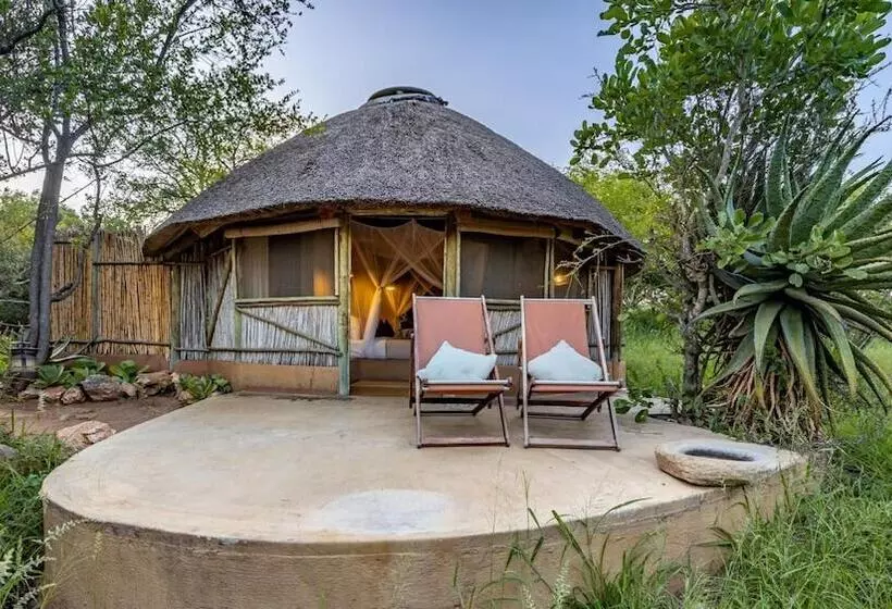 Hôtel Umlani Bushcamp   Lodge