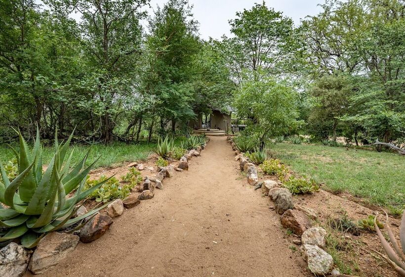 בית מלון כפרי Umlani Bushcamp   Lodge