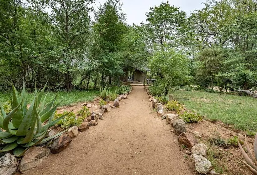 Hôtel Umlani Bushcamp   Lodge