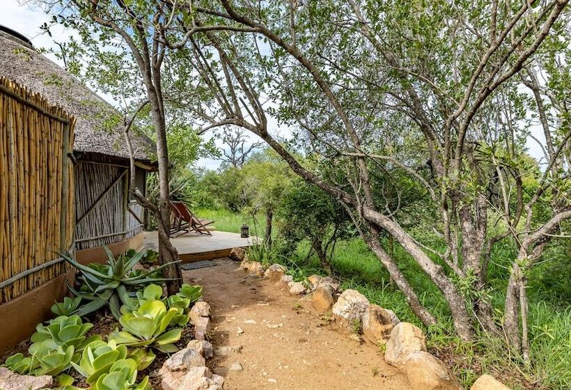 בית מלון כפרי Umlani Bushcamp   Lodge