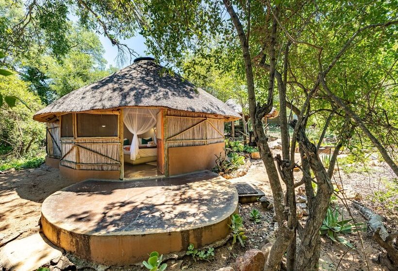 בית מלון כפרי Umlani Bushcamp   Lodge