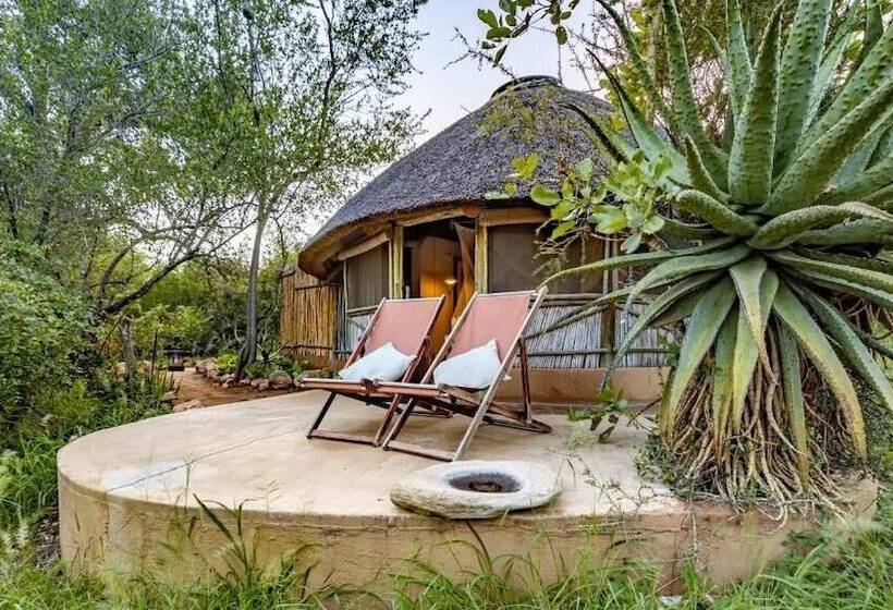 בית מלון כפרי Umlani Bushcamp   Lodge