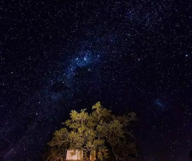 Hôtel Umlani Bushcamp   Lodge