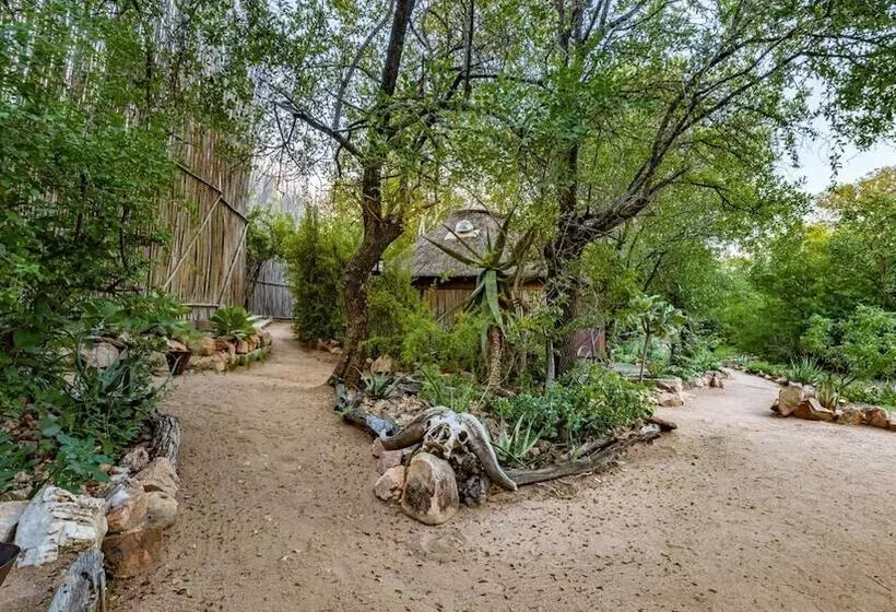 Hôtel Umlani Bushcamp   Lodge