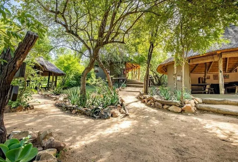 Hôtel Umlani Bushcamp   Lodge