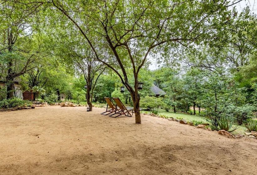 בית מלון כפרי Umlani Bushcamp   Lodge