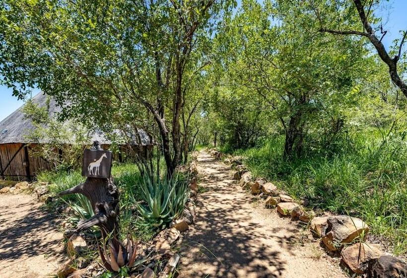 בית מלון כפרי Umlani Bushcamp   Lodge