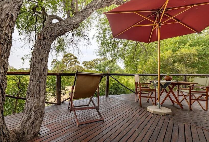 בית מלון כפרי Umlani Bushcamp   Lodge