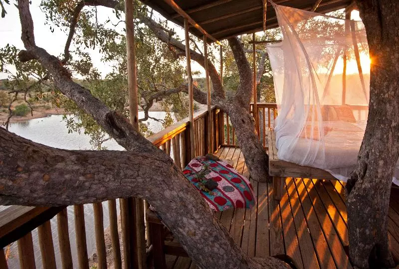 ホテル Umlani Bushcamp   Lodge